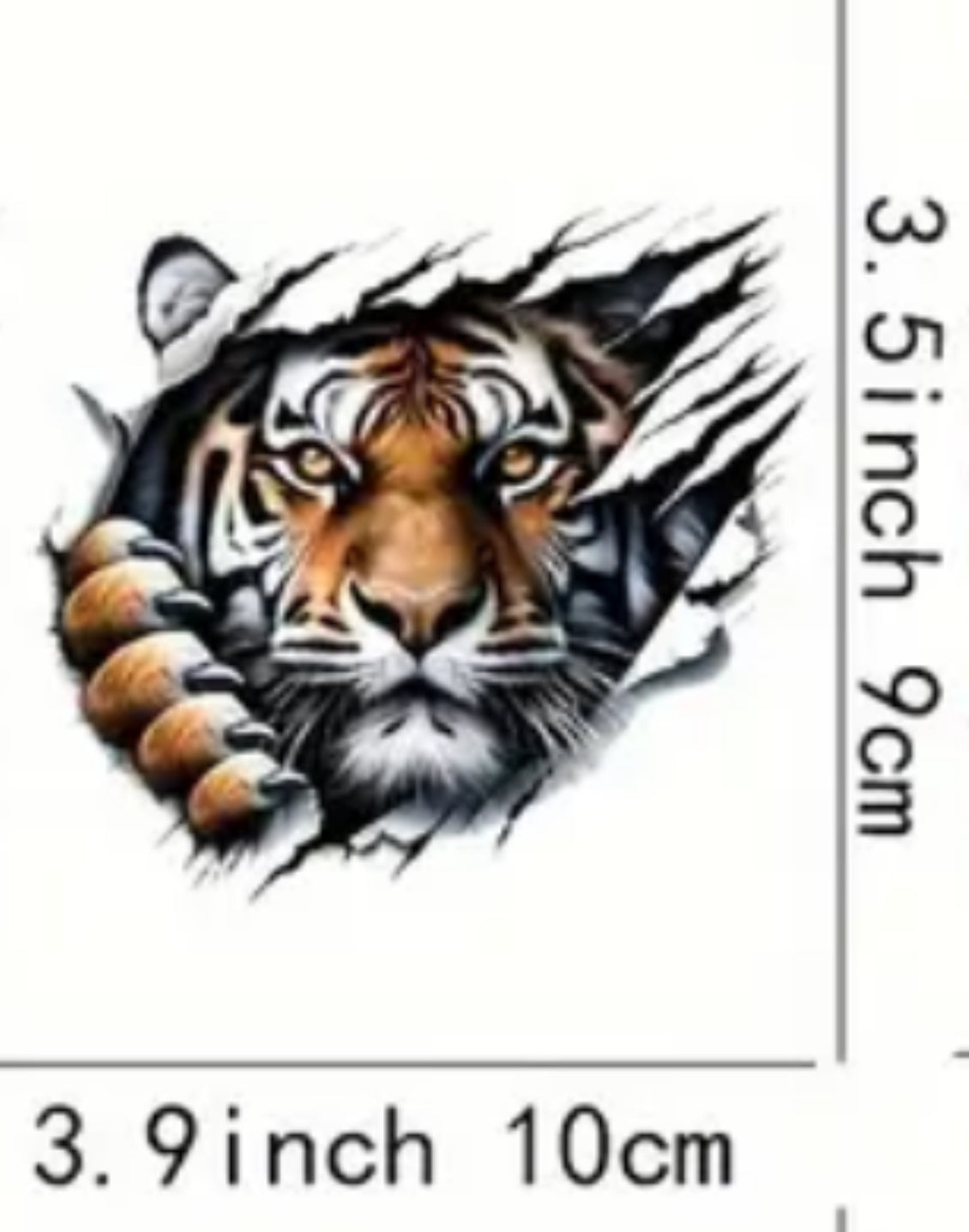 Tiger Iron on Transfers