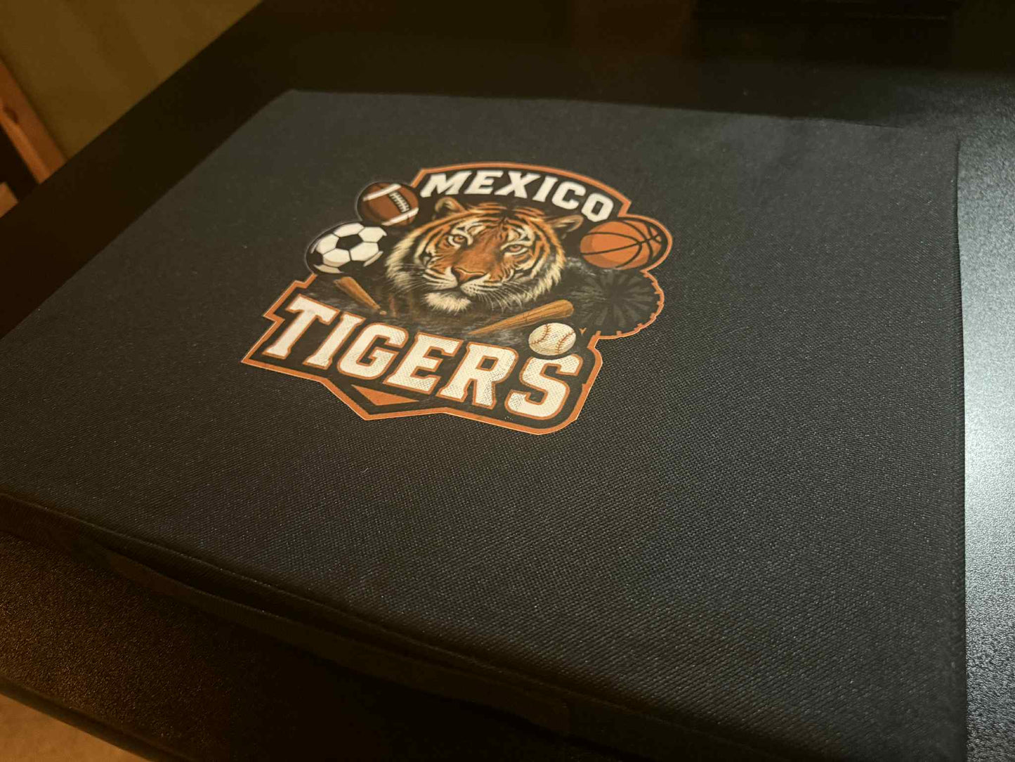 Stadium Cushion