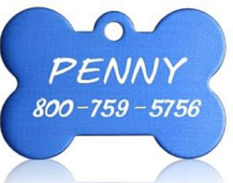 Custom Laser Engraved Pet Tags