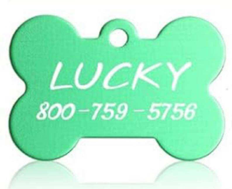 Custom Laser Engraved Pet Tags