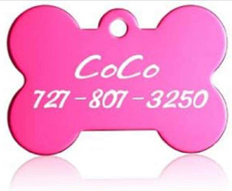 Custom Laser Engraved Pet Tags