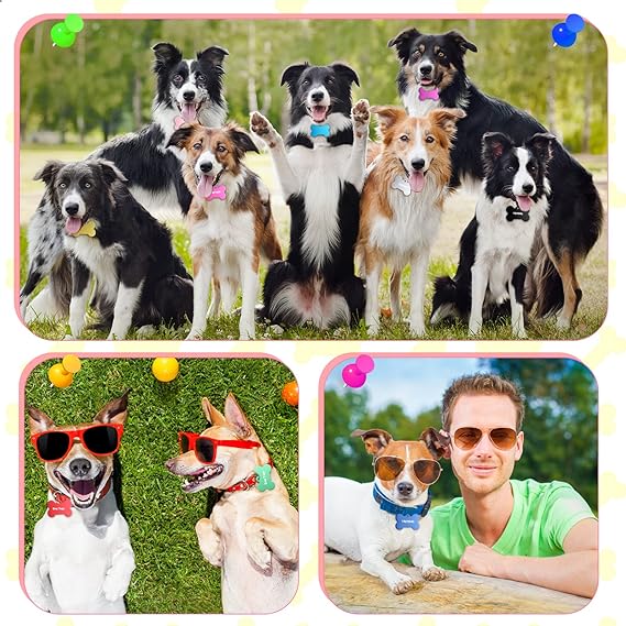 Custom Laser Engraved Pet Tags